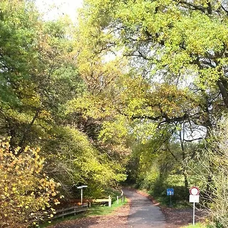 On Goelisbach Apartmán Roetgen