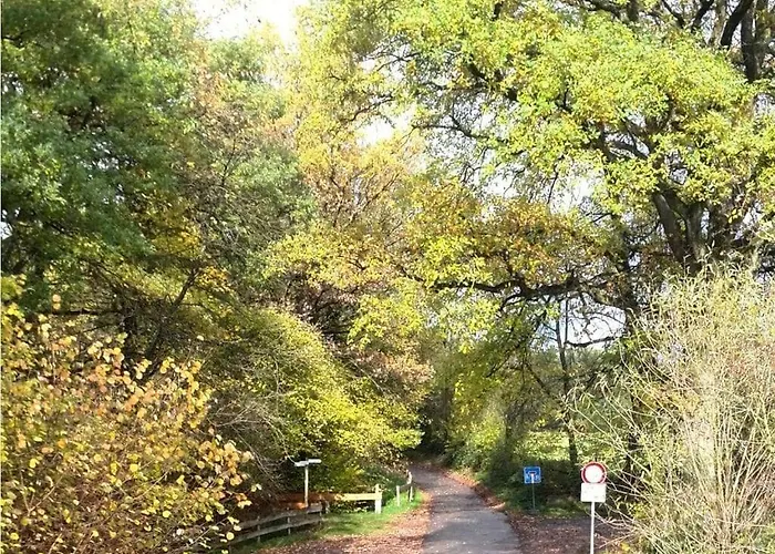 On Goelisbach Apartmán Roetgen